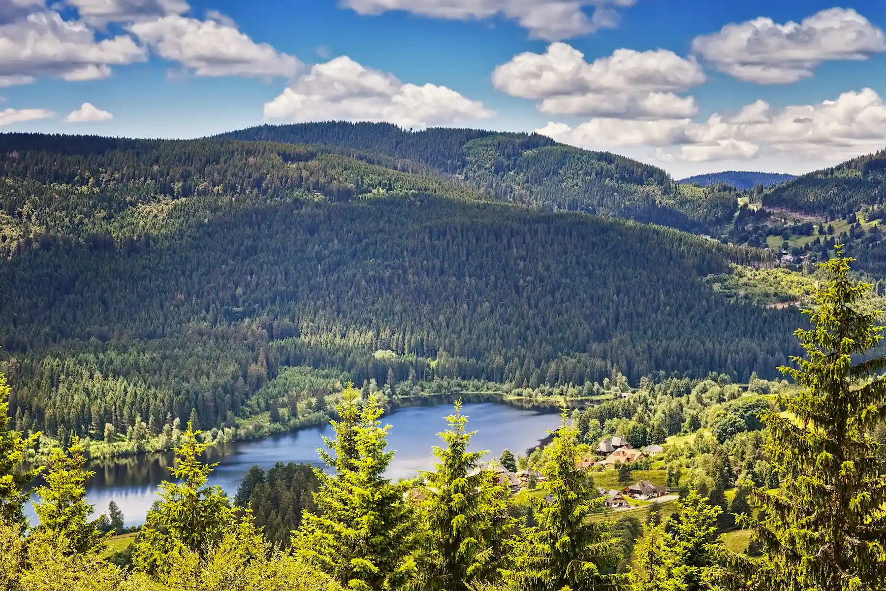 Foresta Nera: tra Siti UNESCO, Natura e Fiabe